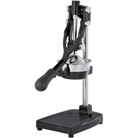 Buy Pomegranate juicer 18х25х48cm 203349 21792, photo 1, price, reviews