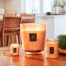 Купити Свічка Spiced Pumpkin Latte 156г, стакан з кришкою 73521 111002660, фото 3, ціна, відгуки