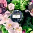 Свічка Apple Blue Clover 113г, металева шкатулка 72124
111004496 Купити Свічка Apple Blue Clover 113г, металева шкатулка 72124
111004496, фото 3, ціна, відгуки
