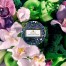 Свічка Apple Blue Clover 90г, банка з кришкою 72424
111004501 Купити Свічка Apple Blue Clover 90г, банка з кришкою 72424
111004501, фото 3, ціна, відгуки
