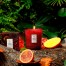 Купить Свеча Goji Tarocco Orange 255г, стакан 7341


 111004509, фото 3, цена, отзывы
