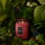 Свеча Foraged Wildberry 510 г, стакан с крышкой 72339 111007005 Купить Свеча Foraged Wildberry 510 г, стакан с крышкой 72339 111007005, фото 3, цена, отзывы