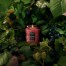 Купити Свічка Foraged Wildberry 156 г, стакан з кришкою 73539 111007011, фото 3, ціна, відгуки