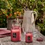 Купити Свічка Foraged Wildberry 156 г, стакан з кришкою 73539 111007011, фото 3, ціна, відгуки