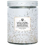 Свічка Silver Birch Peppercorn 510г, стакан з кришкою