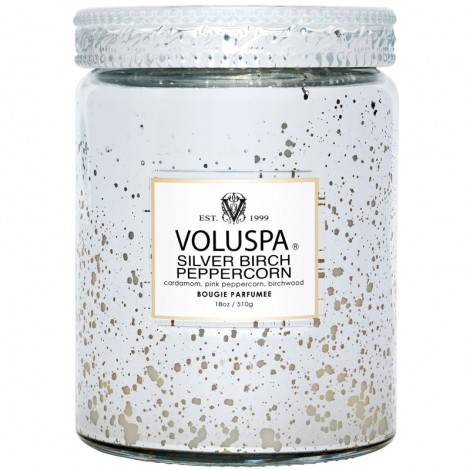 Свічка Silver Birch Peppercorn 510г, стакан з кришкою 66318
111004554 Купити Свічка Silver Birch Peppercorn 510г, стакан з кришкою 66318
111004554, фото 1, ціна, відгуки