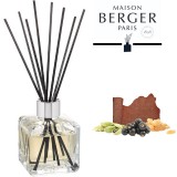 Aroma diffuser Mystic Leather 125ml