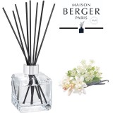 Aroma diffuser Black Angelica 125ml