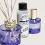 Buy Lolita Lempicka Parme Bouquet & Spray Gift Set  7768 111006385, photo 3, price, reviews