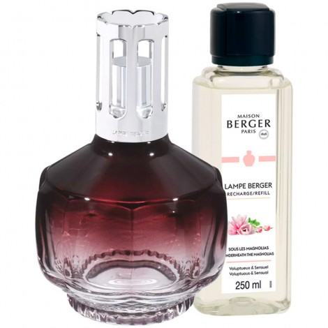 Buy Gift set Plum Molecule 428ml, glass 4776 111003205, photo 1, price, reviews