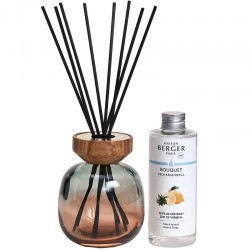 Подарунковий набір Wood Vert 260мл, аромат Zest of Verbena 180мл