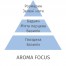 Аромат наповнювач для електричного дифузора Aroma Focus 475мл 6492 101005605 Купити Аромат наповнювач для електричного дифузора Aroma Focus 475мл 6492 101005605, фото 3, ціна, відгуки