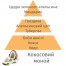 Аромат-наповнювач для лампи Coconut Monoi 500мл 115362 101004692 Купити Аромат-наповнювач для лампи Coconut Monoi 500мл 115362 101004692, фото 3, ціна, відгуки