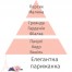 Аромат-наповнювач для лампи Elegant Parisienne 500мл 115183 101006721 Купити Аромат-наповнювач для лампи Elegant Parisienne 500мл 115183 101006721, фото 3, ціна, відгуки