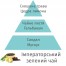 Аромат-наповнювач для лампи Imperial Green Tea 1л 116098 111001815 Купити Аромат-наповнювач для лампи Imperial Green Tea 1л 116098 111001815, фото 3, ціна, відгуки