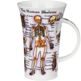 Human body кухоль 500мл