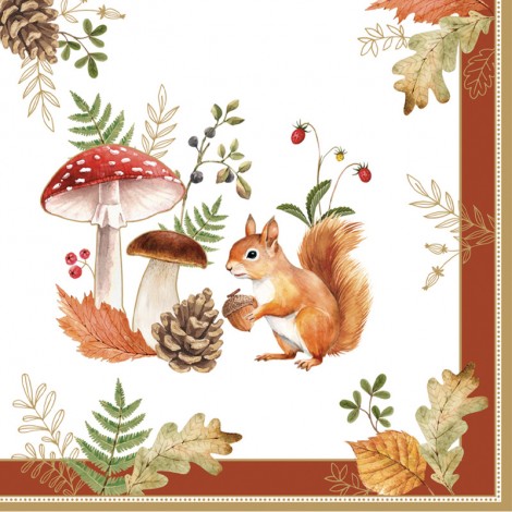 Buy Set of paper napkins 33cm (20 pcs.) R0414#AUBR 111006274, photo 1, price, reviews