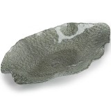 Блюдо 50x29см