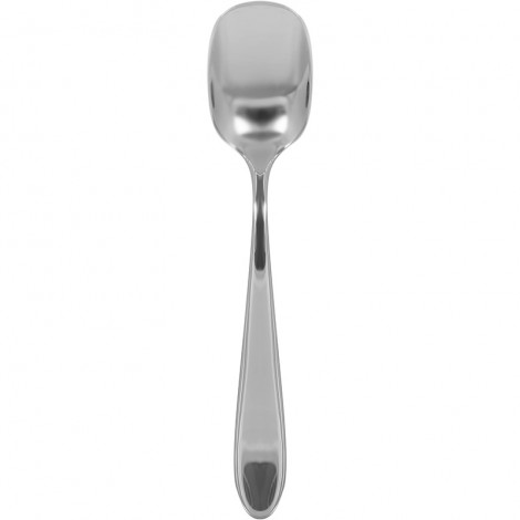 Spoon for ice cream 22800022 101001204 Buy Spoon for ice cream 22800022 101001204, photo 1, price, reviews